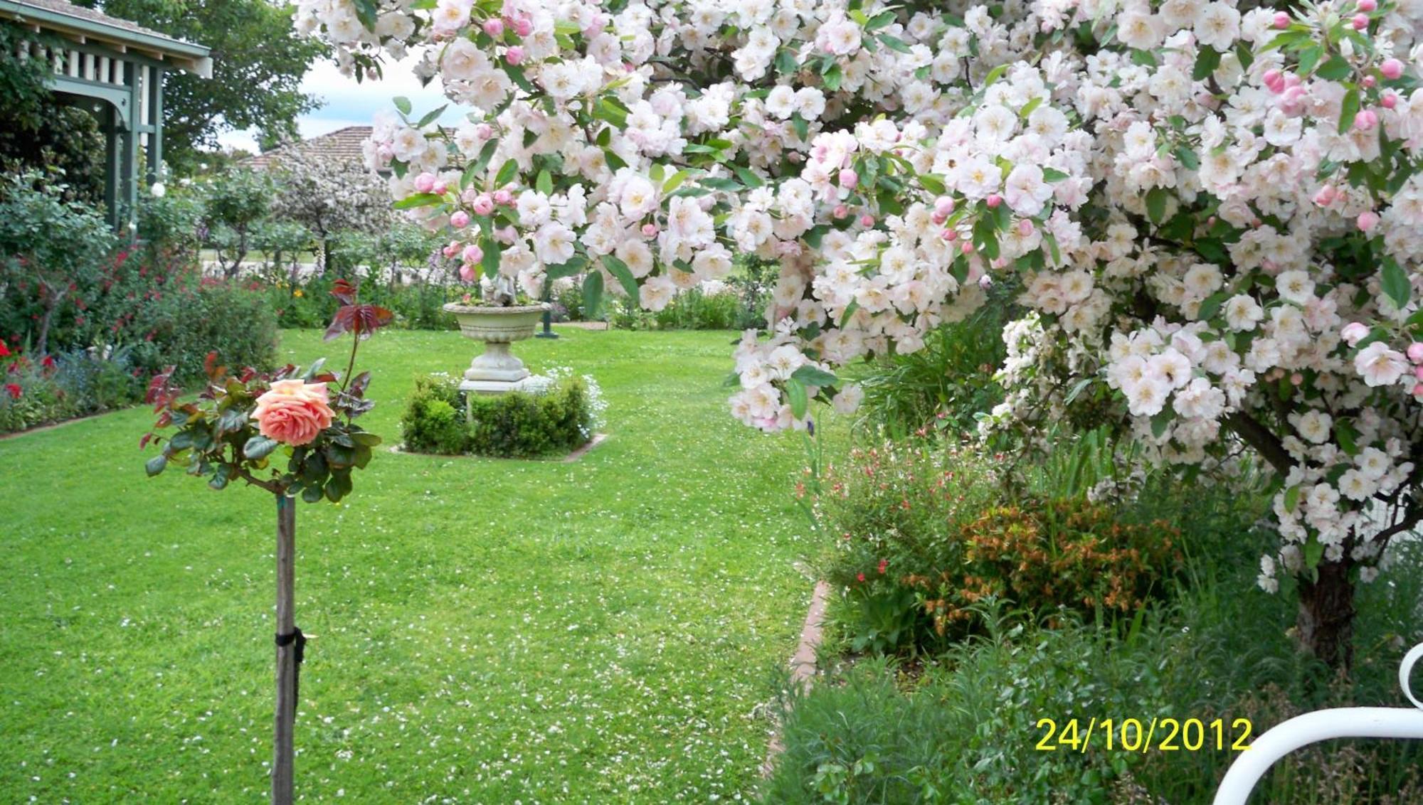 Dalfruin B&B Bairnsdale Bagian luar foto